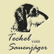 (c) Teckel-vom-sauenjaeger.de